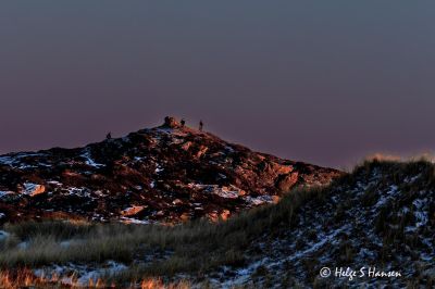 Skiphaugen
Solnedgang nytes på Skiphaugen
Keywords: Skiphaugen