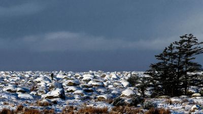 Ogmundsrøysa i vinterdrakt
Keywords: Steinodden;Ogmundsrøysa