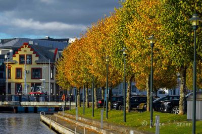 Høst i Farsund
Flotte "prydtrær" på Gåseholmen.
Keywords: Farsund