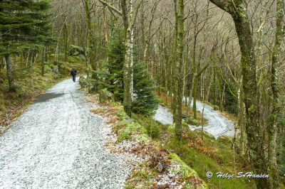 Svingeveien kommer tydelig frem ved et lite snøfall
Keywords: Svingeveien