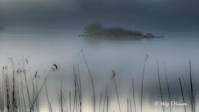 Navnløs holme i Krågenesvannet
Keywords: Krågenesvannet
