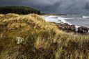 Austre-Hauge-mot-Falkhaugsanden_050926_0701.jpg