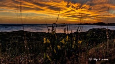 Flotte skyer etter solnedgang
Keywords: Einarsneset