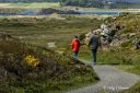Einarsneset_-_turgaere_270525_2143.jpg