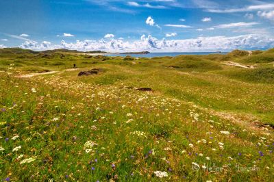 Sommermotiv fra Husebysanden
Keywords: Husebysanden