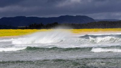 Hanangersanden.
August 2024. Bølger mot Hanangersanden. Marehalmen tar seg godt ut mot den  dypblå bakgrunnen.
Keywords: Hanangersanden