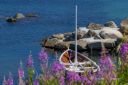 Sommermotiv_fra_Osthasselstrand_220724_2503.jpg