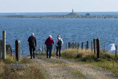 Marka - et populært turområde
Rauna i bakgrunnen
Keywords: Marka