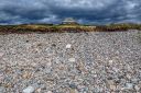 Steinsvikal_190425_1307.jpg