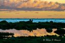 Pa_tur_i_Listalandskap_-_solnedgang_i_Vagsvollvika_211121_9113~0.jpg