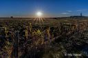 Vagsvollvika_ved_solnedgang_301025_6018.jpg