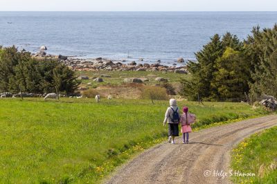 En fredelig plett på jorden for disse to flyktningene
Mot Stavstø
Keywords: Stavstø