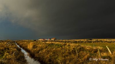 Lyset på Lista - mot Verevågen
Keywords: Lyset_på_LISTA