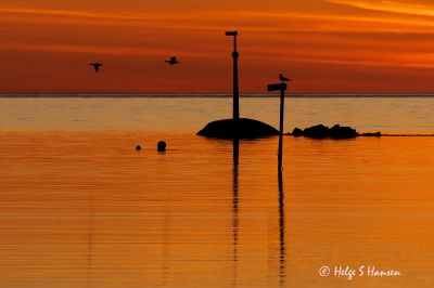 Verevågen - atter en solnedgang.
Keywords: Verevågen