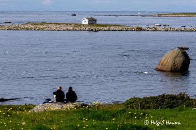Sensommerdag i Steinsvika
Keywords: Steinsvika