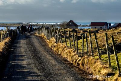 Ut på tur - Mot Verevågen
Keywords: Verevågen