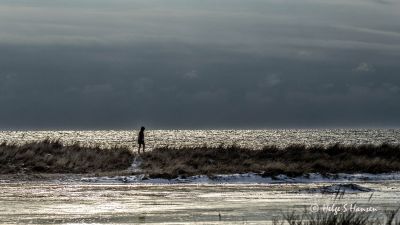 Ved Hanangersanden
Keywords: Kyststien