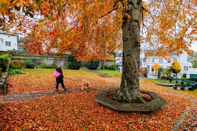 Høst i Farsund
Byparken. Bladene henger løst på trærne.
Keywords: Farsund