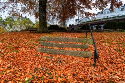 Høst i Farsund
Byparken der en trappe er delvis skjult. Høsten er utvilsomt i ferd med å "trappes" opp.
Keywords: Farsund