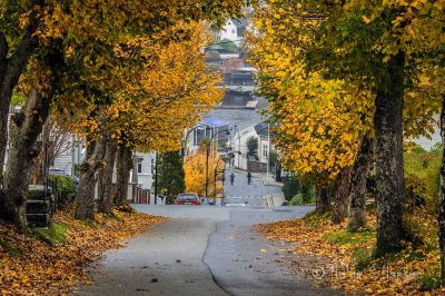 Høst i Farsund
Nedover Kirkebakken.
Keywords: Farsund