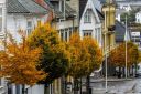 Host_i_Farsund_251024_4033.jpg