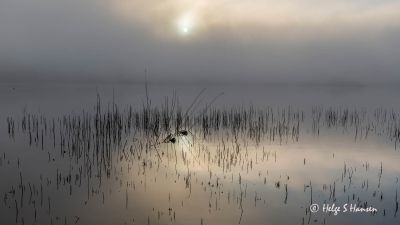 Stemningsbilde fra Krågenesvannet
Keywords: Krågenesvannet