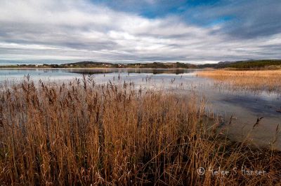 Flott novemberdag ved Hanangervannet.
Keywords: Hanangervannet