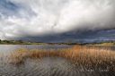 Kragenesvannet_281024_4172.jpg