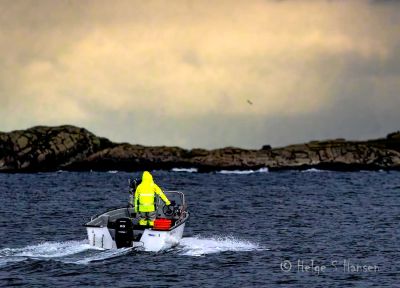 Høst i Loshavn.
Fra Loshavn er ikke veien til havets svarte gull lang.
Keywords: Loshavn