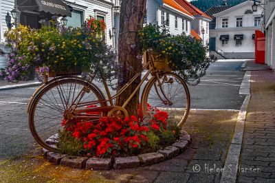 Flott blomsterdekorert sykkel.
Keywords: Flekkefjord_by