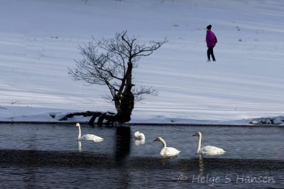 Vinter.
