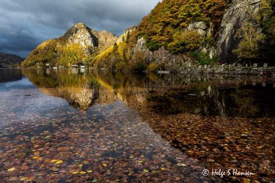 Straumen naturreservat i vinterdrakt.
Keywords: Straumen