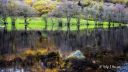 Straumen_naturreservat_241025_5850-2.jpg