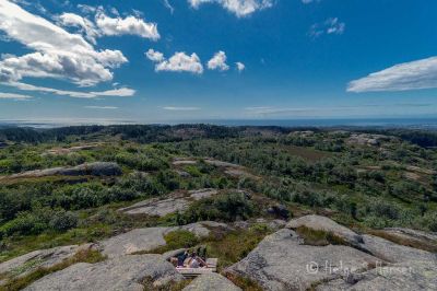 Utsikt fra St.Olavsvarden
Utsikten fra St.Olavsvarden på Ravneheia med sine 360 meter er upåklagelig.  
Keywords: St.Olavsvarden