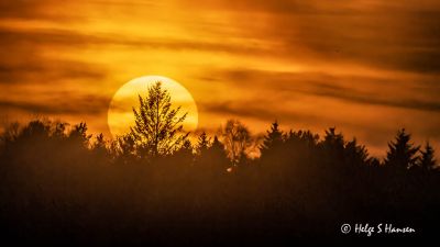 Solnedgang over Torp
Keywords: Torp