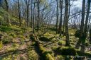 Tur_Vagasen_i_Spind_180425_1271.jpg