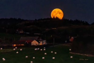 Fullmåne på vei opp over Skeibrok.
Keywords: Skeibrok