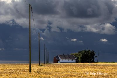 Sensommer ved Nedre Nordhassel ved Hasselveien til Steinsvika.
Keywords: Nedre_Nordhassel